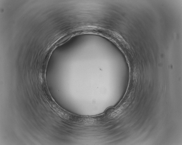 X0000069361209200606021444