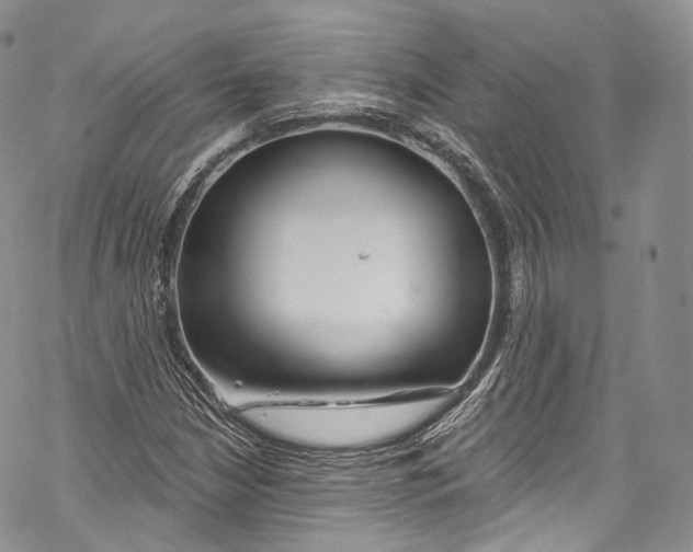 X0000069361210200606021444