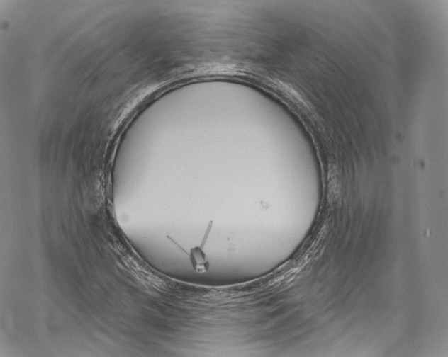 X0000069361212200606021444