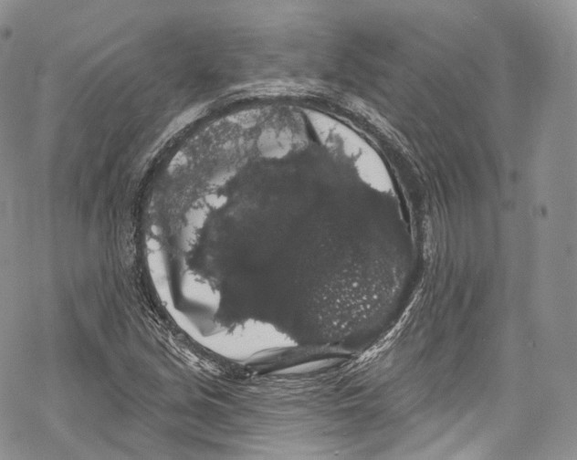 X0000069361213200606021444