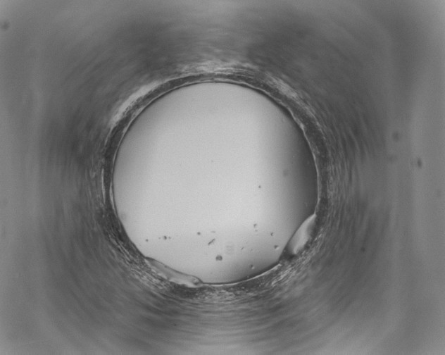 X0000069361214200606021444