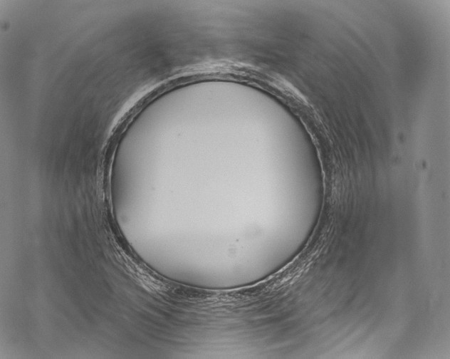 X0000069361216200606021445