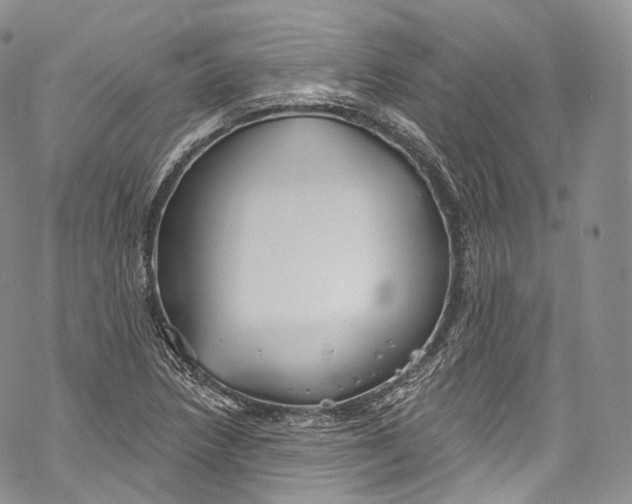 X0000069361218200606021445