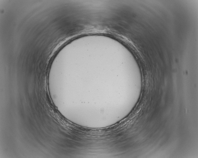 X0000069361220200606021445