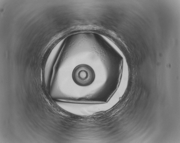 X0000069361221200606021445