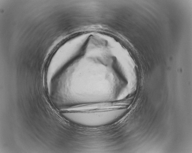 X0000069361224200606021445