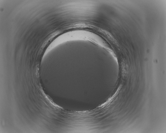 X0000069361225200606021445