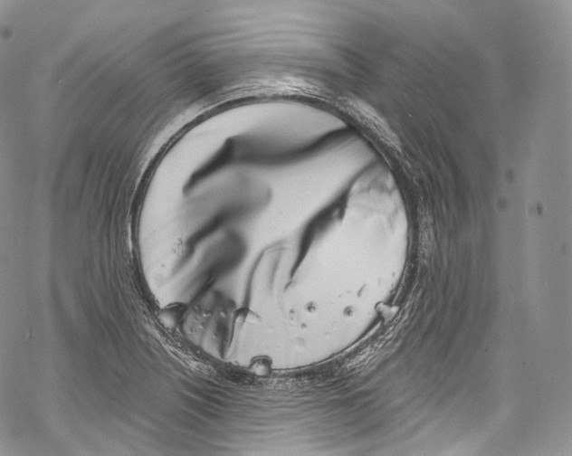 X0000069361226200606021445