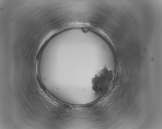 X0000069361227200606021445