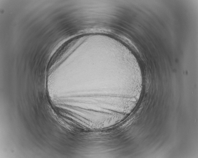 X0000069361228200606021445