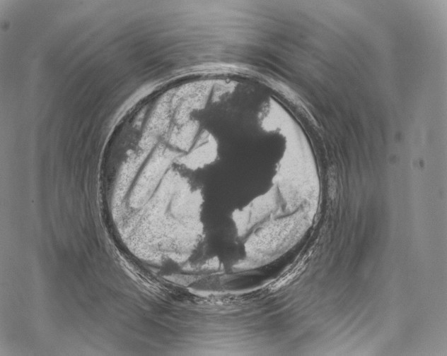 X0000069361229200606021445