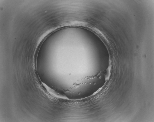 X0000069361230200606021445