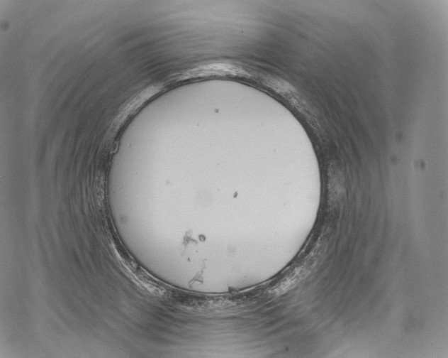 X0000069361233200606021445