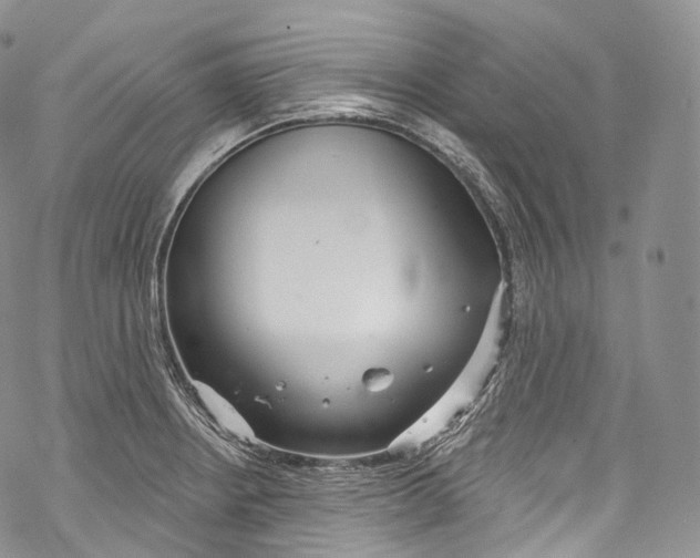 X0000069361234200606021445