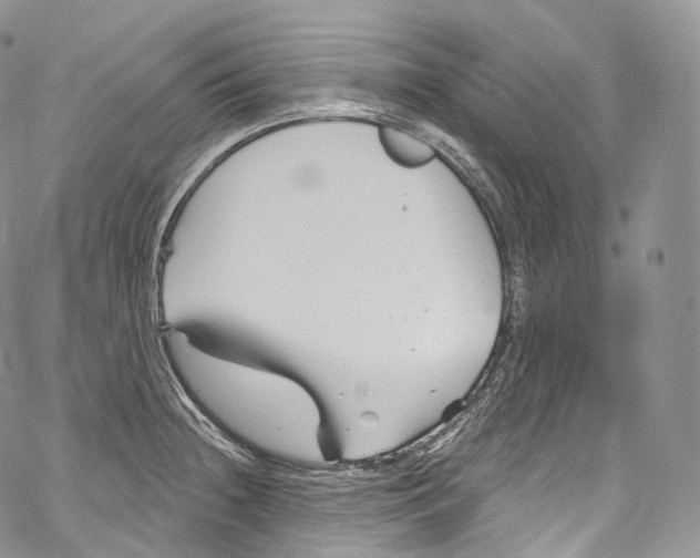 X0000069361236200606021445