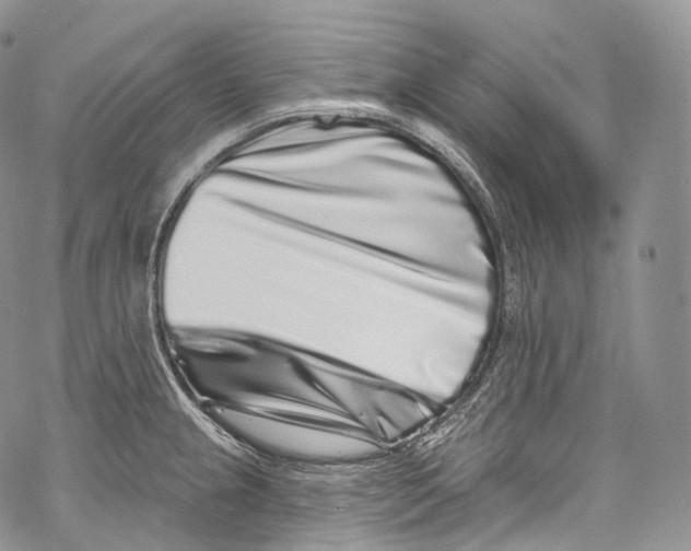 X0000069361237200606021445