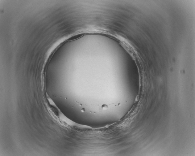 X0000069361238200606021445