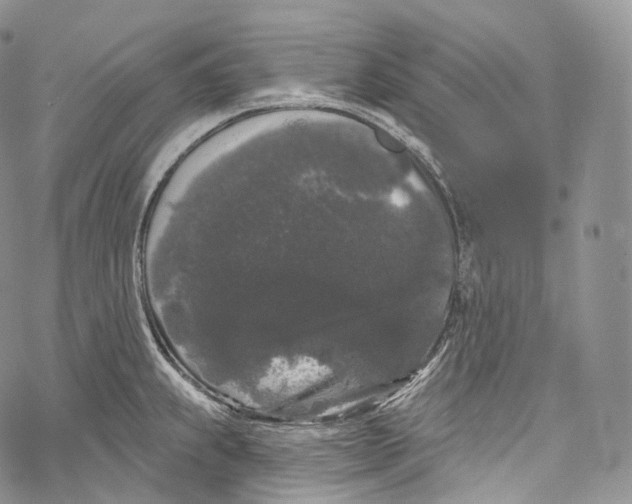 X0000069361239200606021445