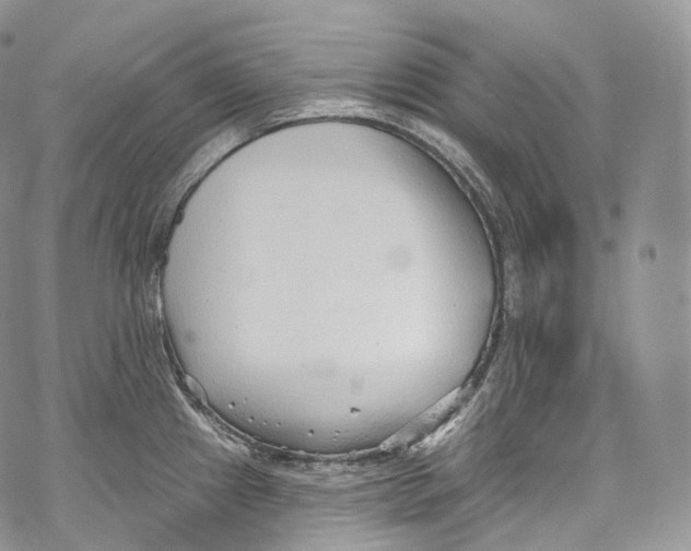 X0000069361241200606021445