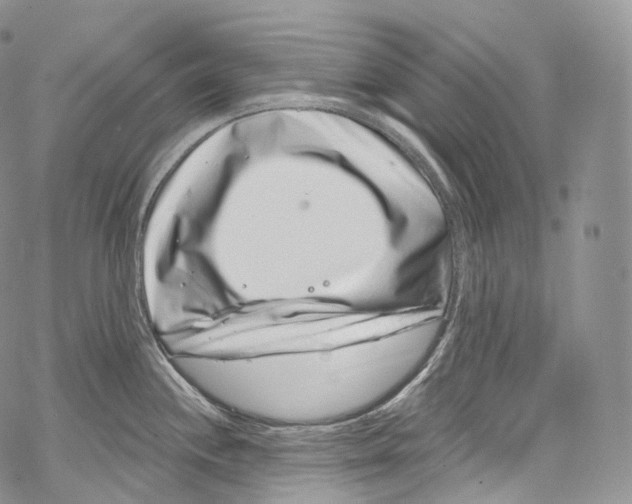 X0000069361244200606021445