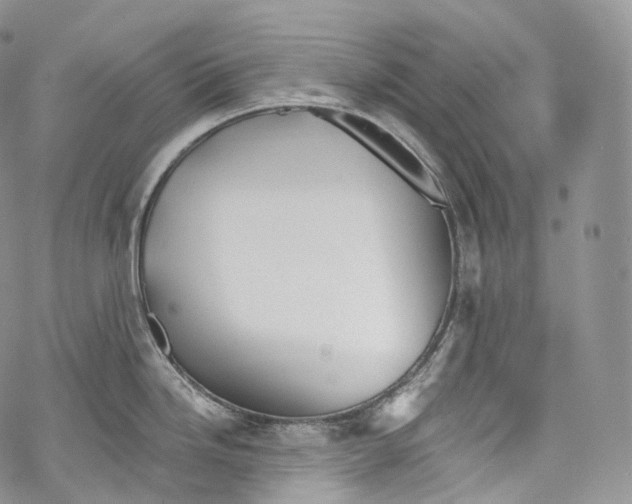 X0000069361246200606021445