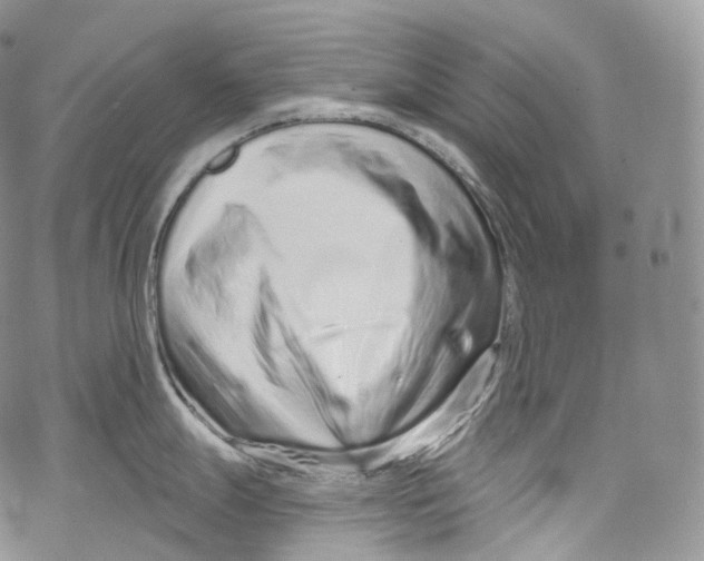 X0000069361247200606021445