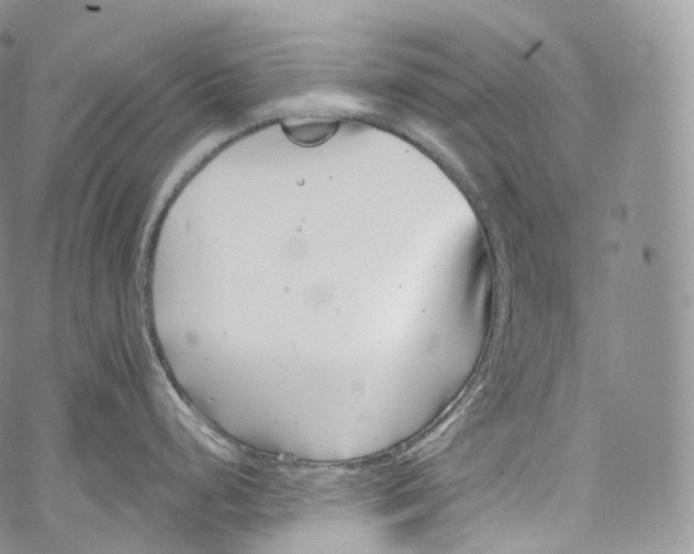 X0000069361248200606021445