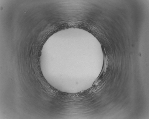 X0000069361249200606021444