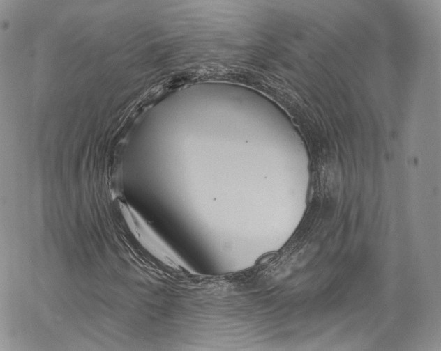 X0000069361250200606021444