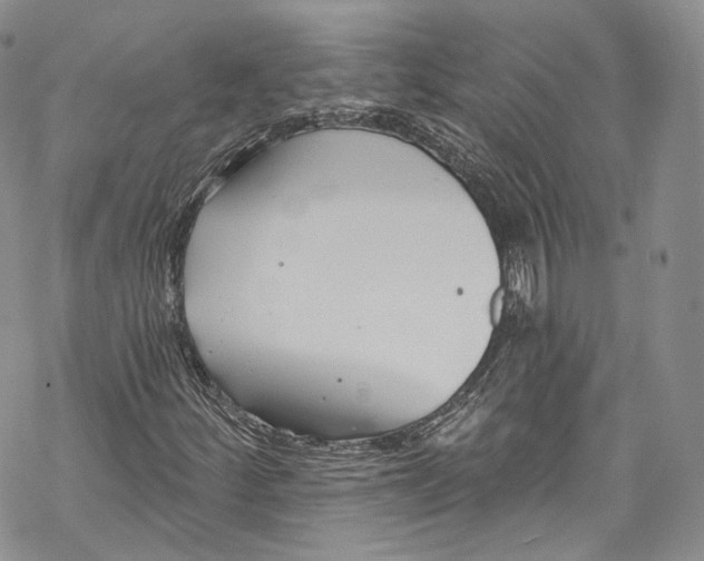 X0000069361252200606021444