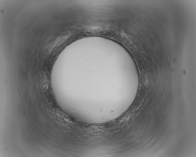 X0000069361253200606021444