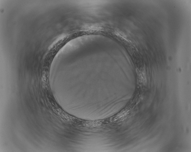 X0000069361254200606021444