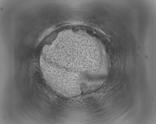 X0000069361255200606021444