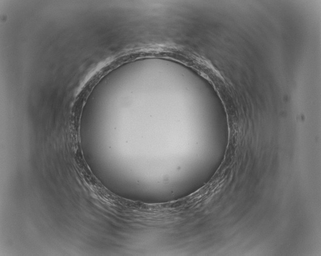 X0000069361256200606021444