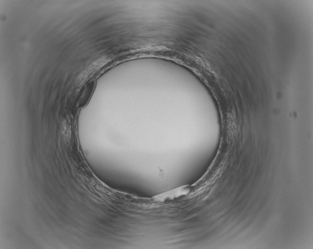 X0000069361257200606021444