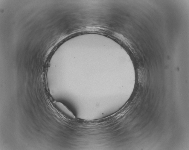 X0000069361260200606021444