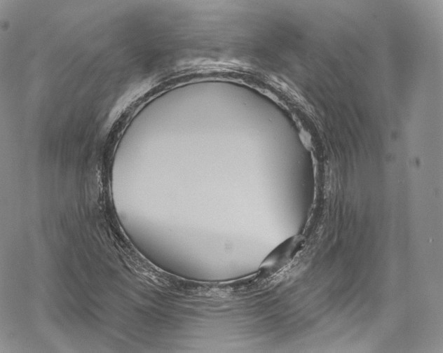 X0000069361261200606021444