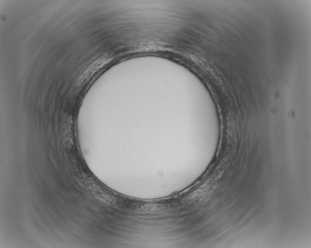 X0000069361265200606021444