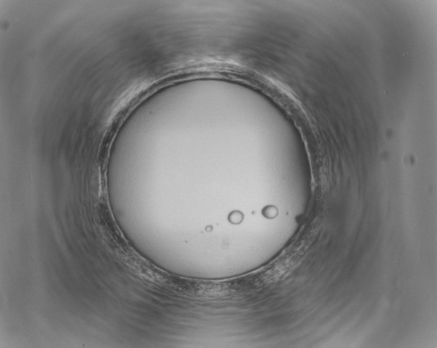 X0000069361267200606021444