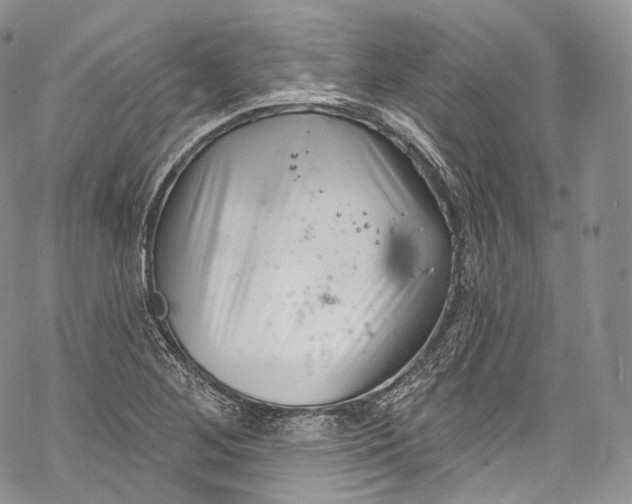 X0000069361268200606021444