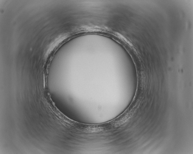 X0000069361269200606021444