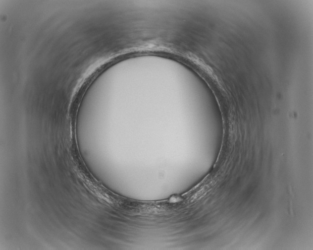 X0000069361270200606021444