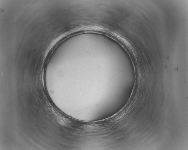 X0000069361272200606021444