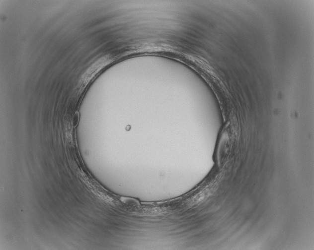 X0000069361273200606021444