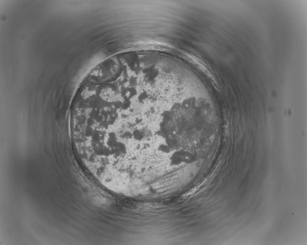 X0000069361275200606021444