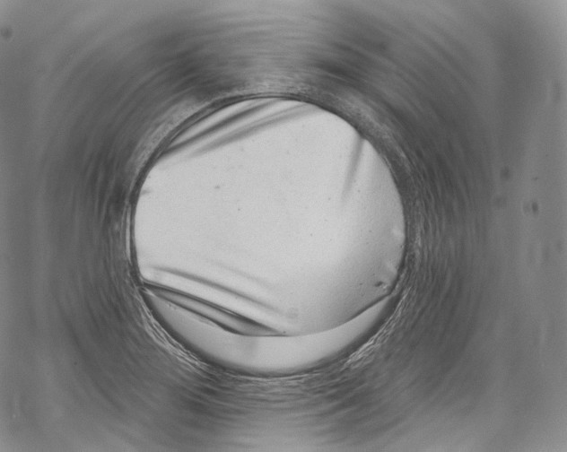 X0000069361276200606021444