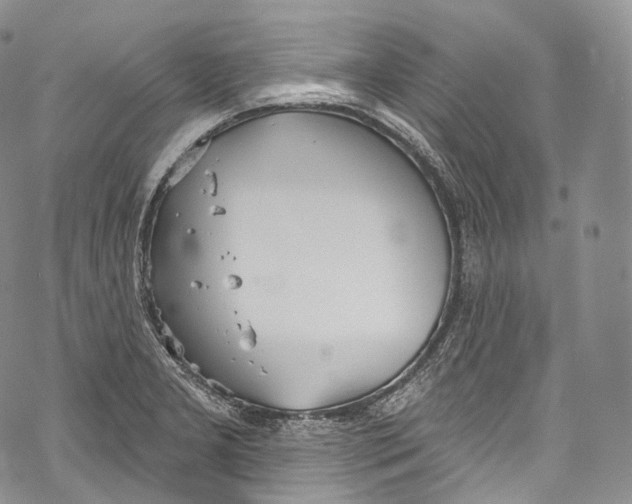 X0000069361277200606021444