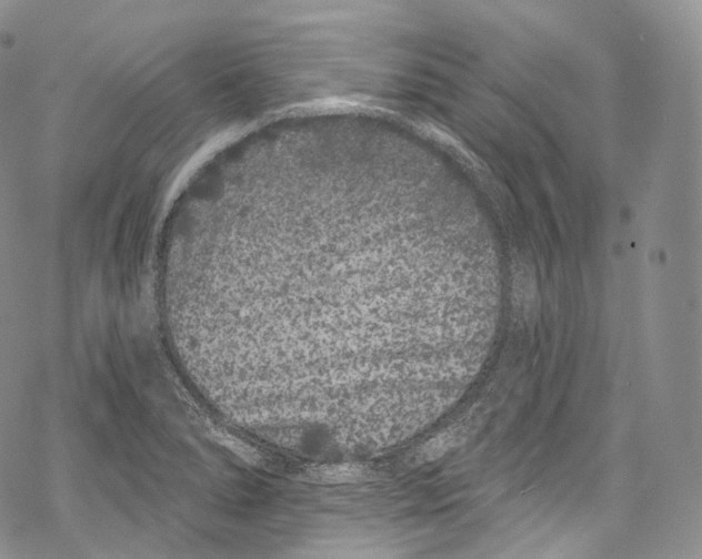 X0000069361278200606021444