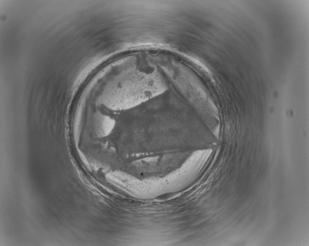 X0000069361279200606021444