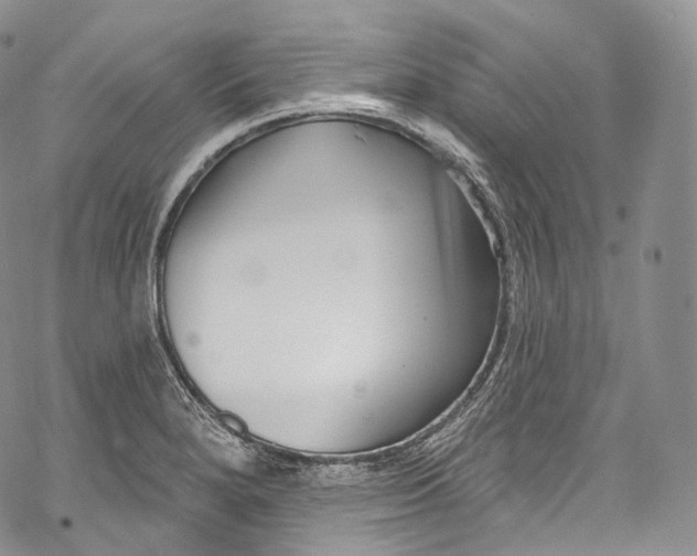 X0000069361280200606021444